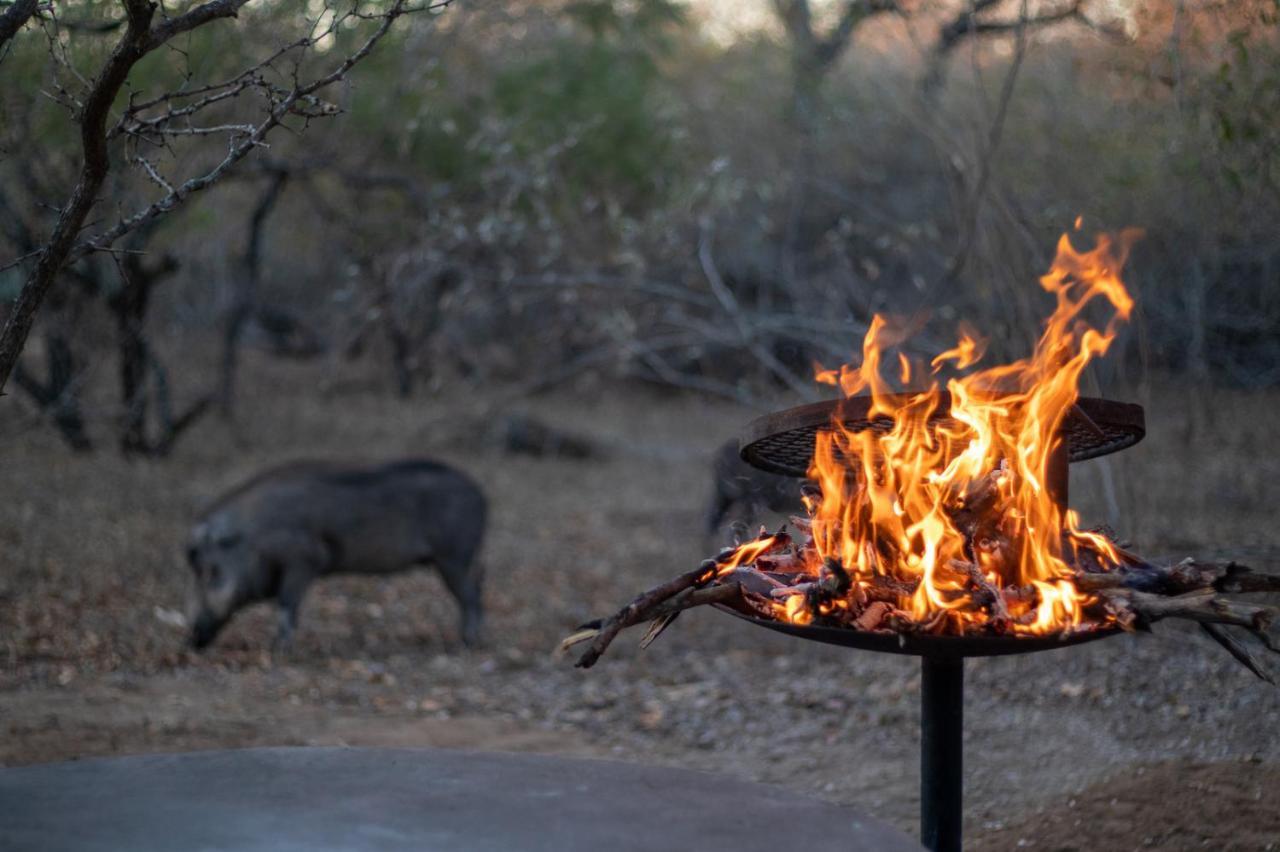 Hello Kruger Hideaway Cottage & Skilpad Studio Marloth Park Exterior foto